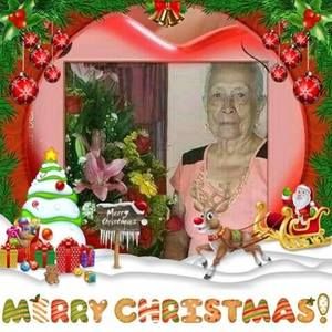 Meet your Posher, Lina